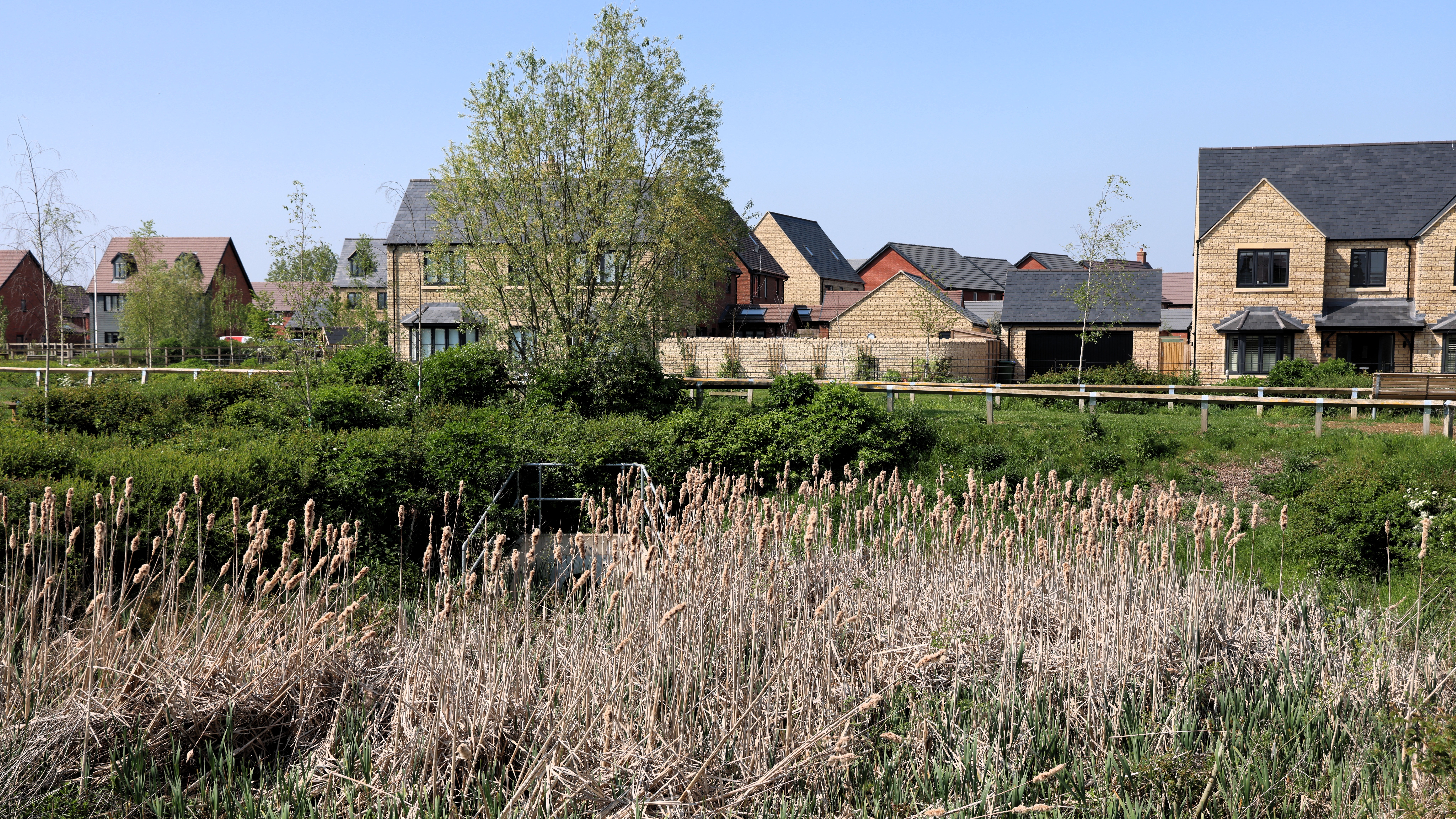 Picture 1 of Shackleton Village
