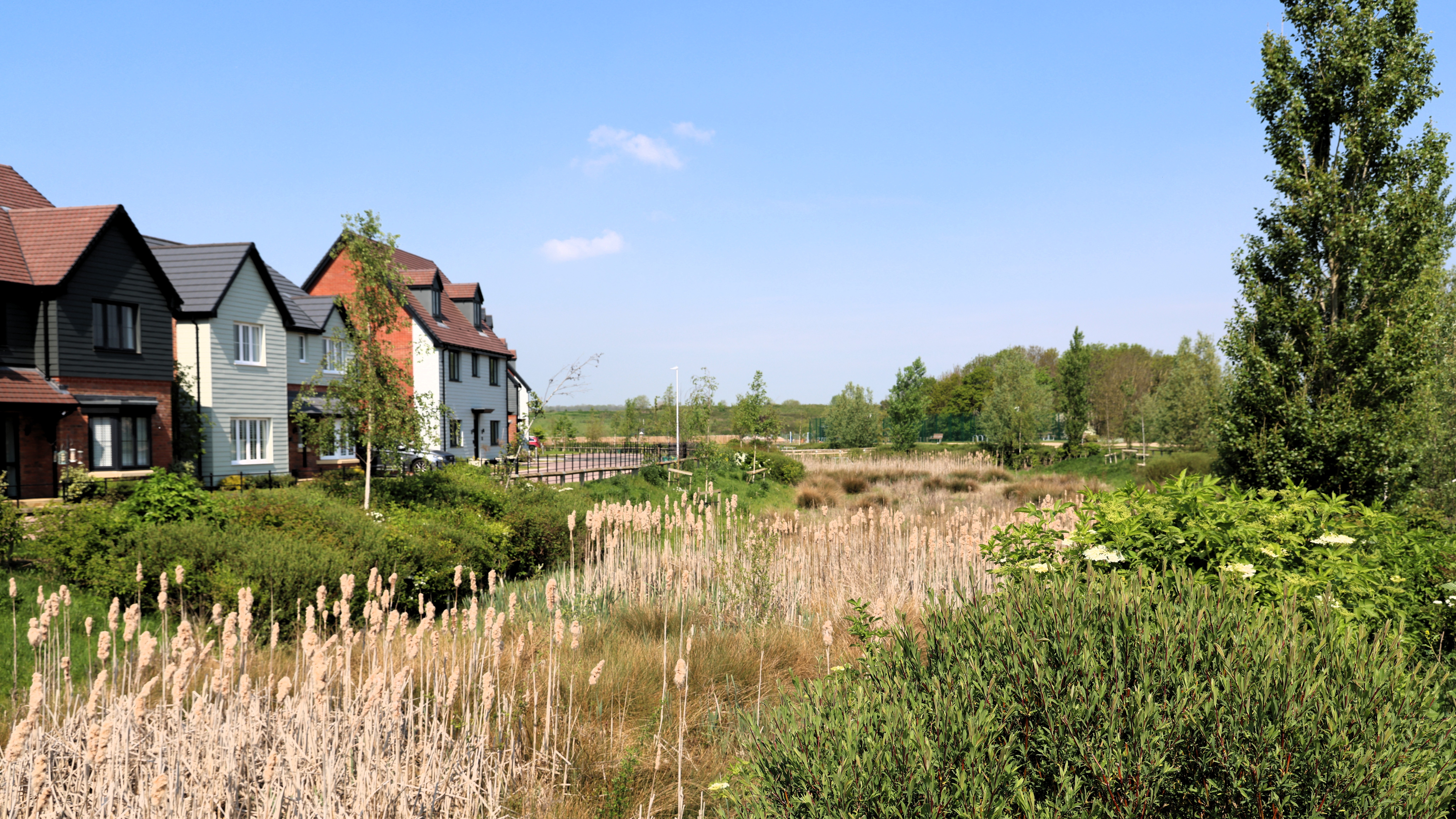 Picture 1 of Shackleton Village